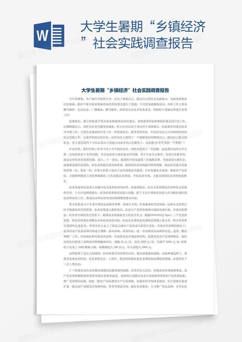 大学生暑期“乡镇经济”社会实践调查报告