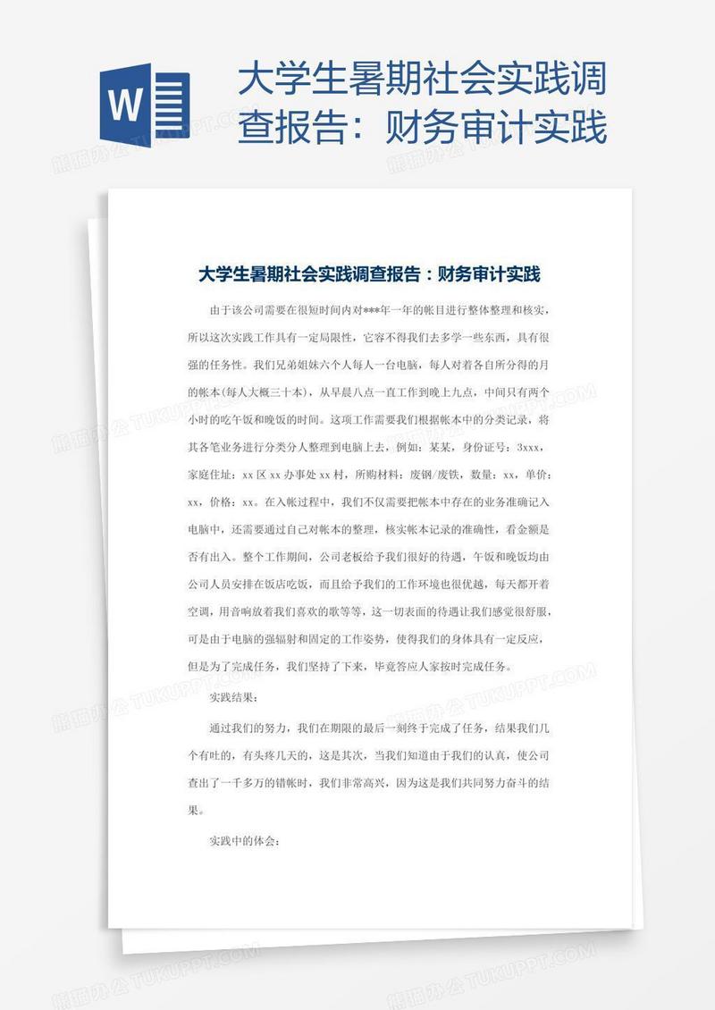 大学生暑期社会实践调查报告：财务审计实践