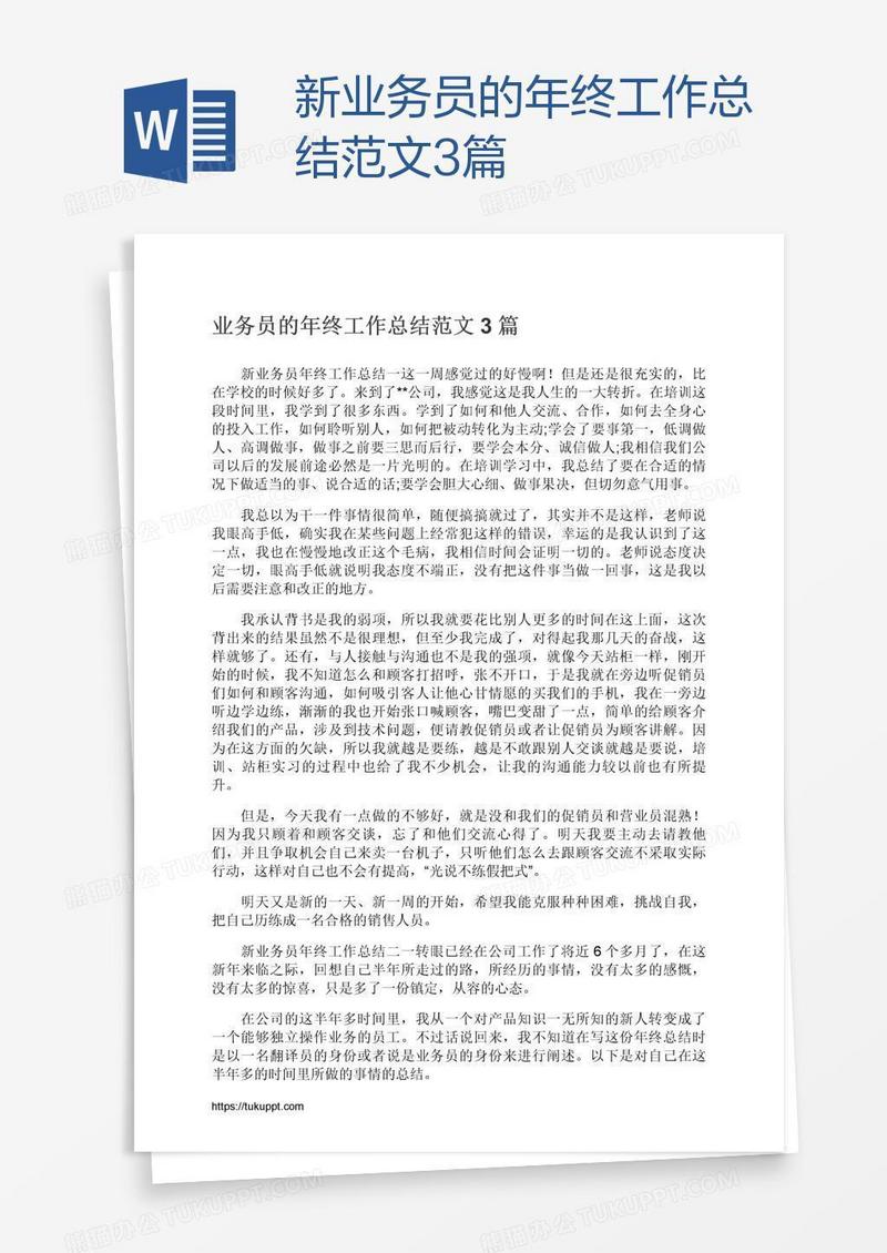 新业务员的年终工作总结范文3篇