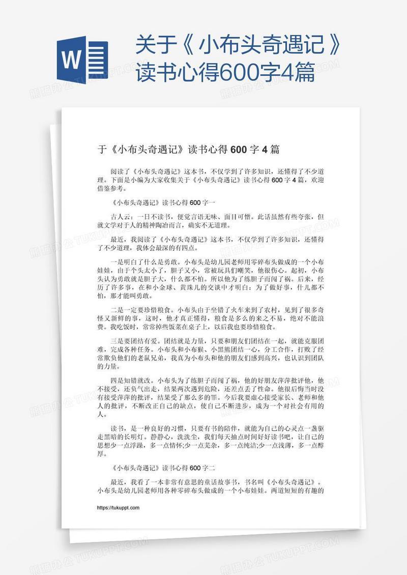 关于《小布头奇遇记》读书心得600字4篇