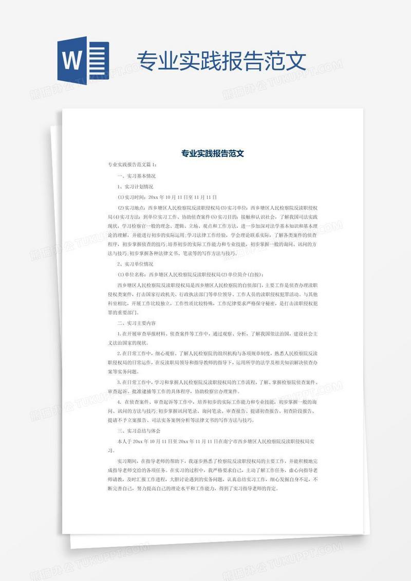 专业实践报告范文