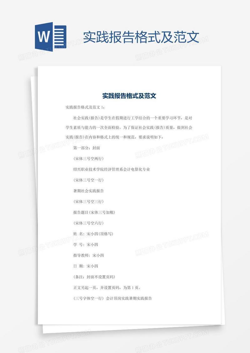 实践报告格式及范文
