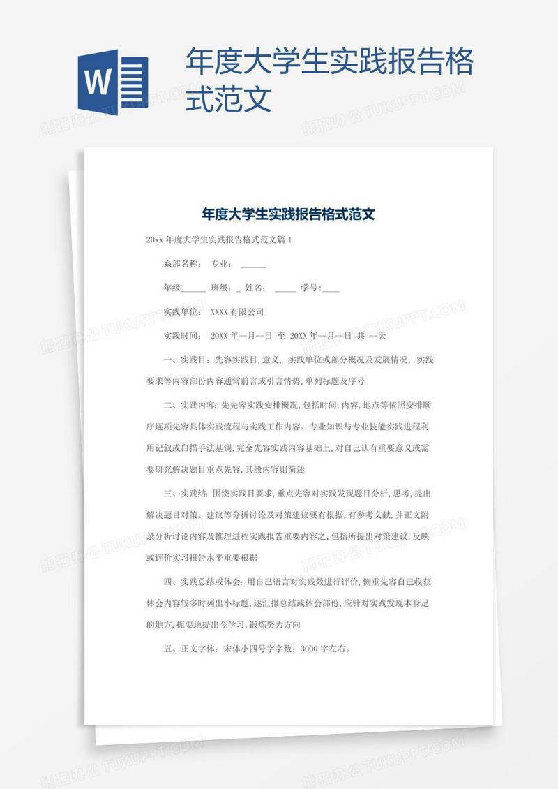 年度大学生实践报告格式范文