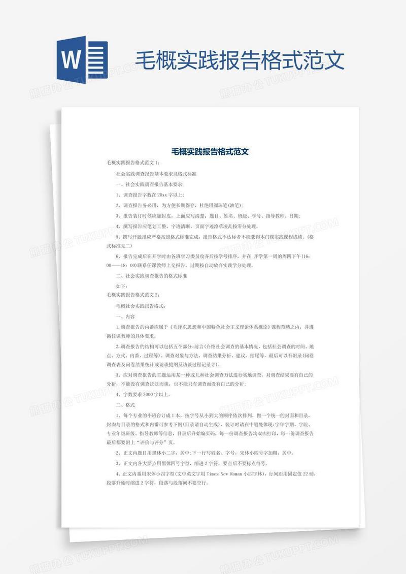 毛概实践报告格式范文