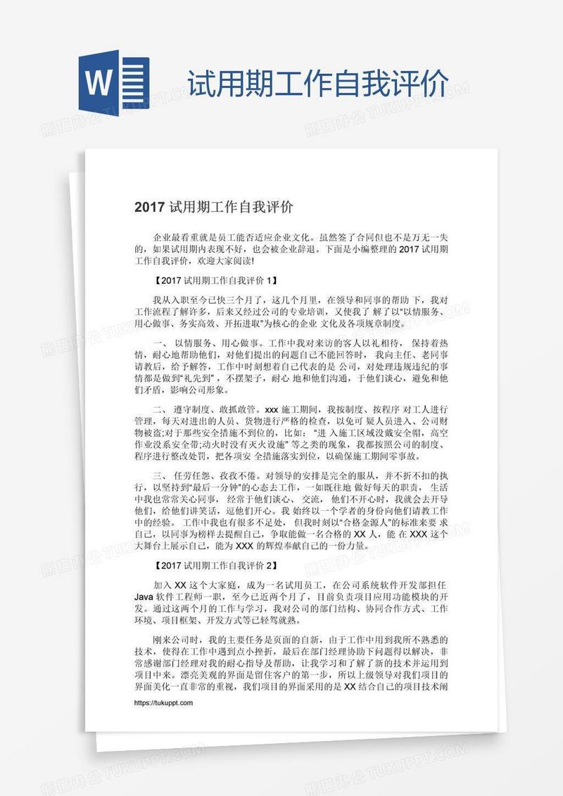 试用期工作自我评价