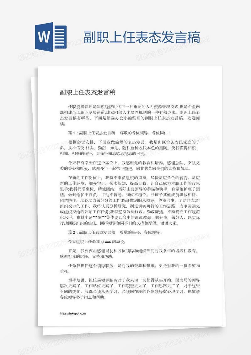 副职上任表态发言稿