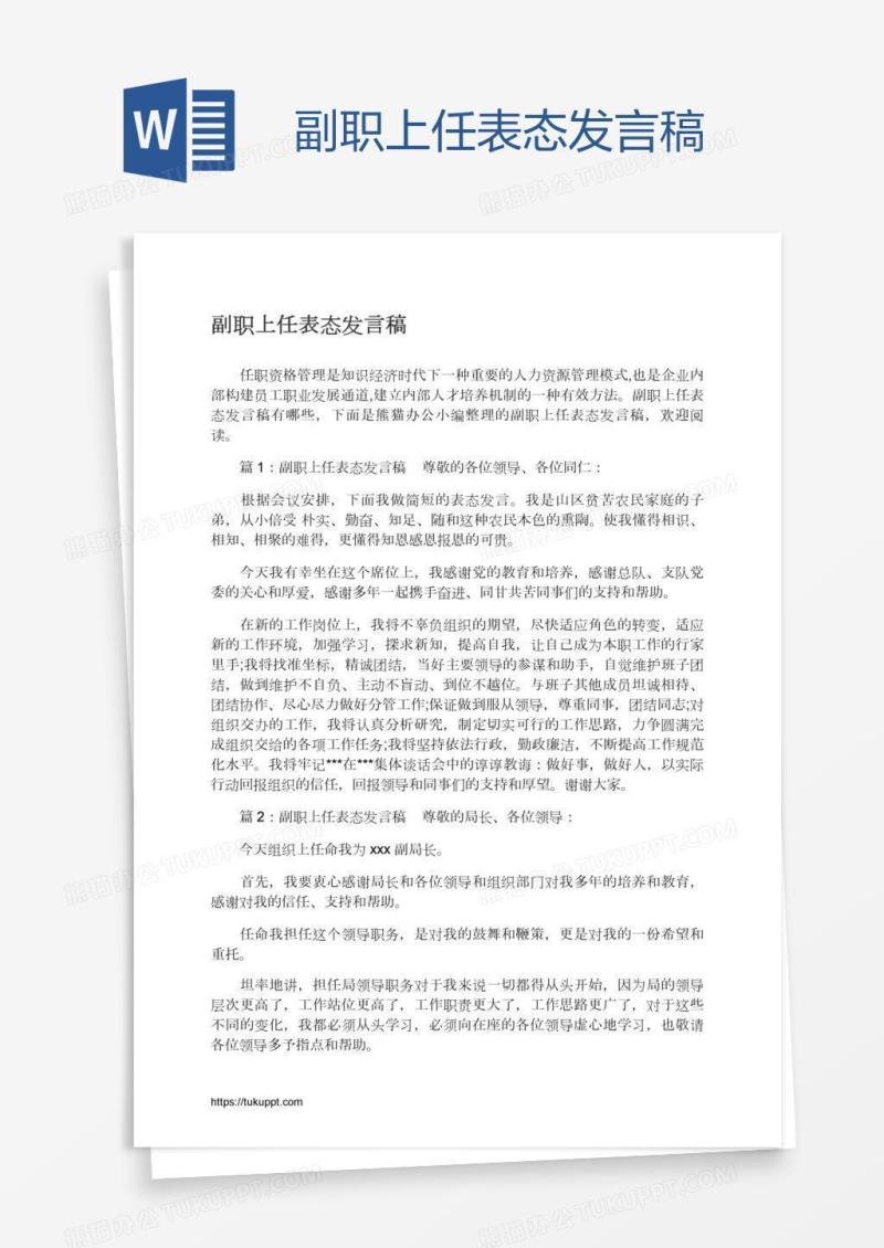 副职上任表态发言稿