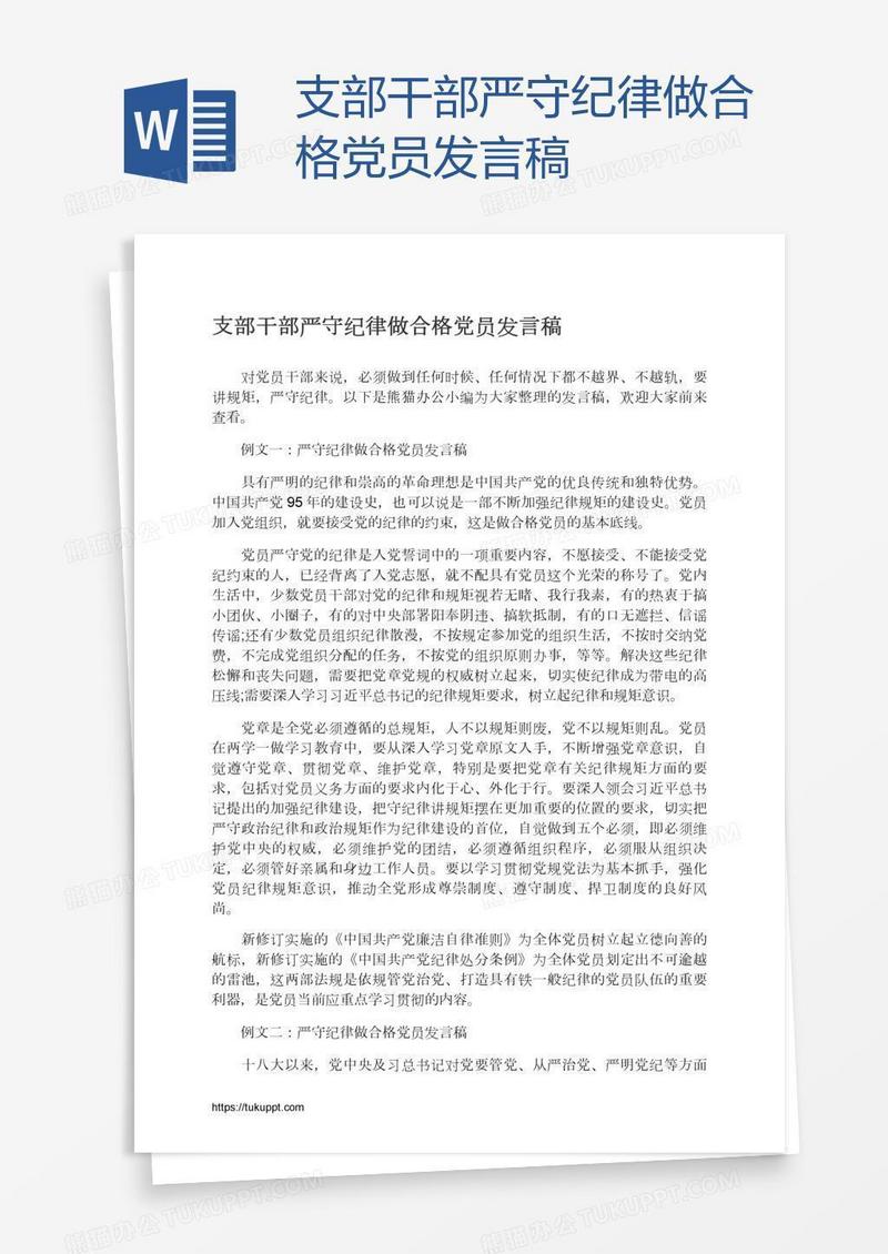 支部干部严守纪律做合格党员发言稿