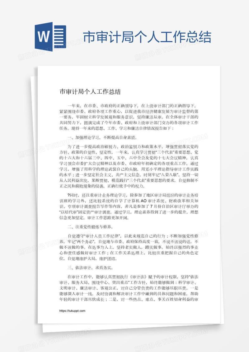 市审计局个人工作总结