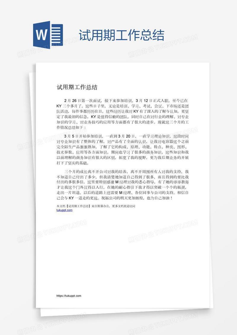 试用期工作总结