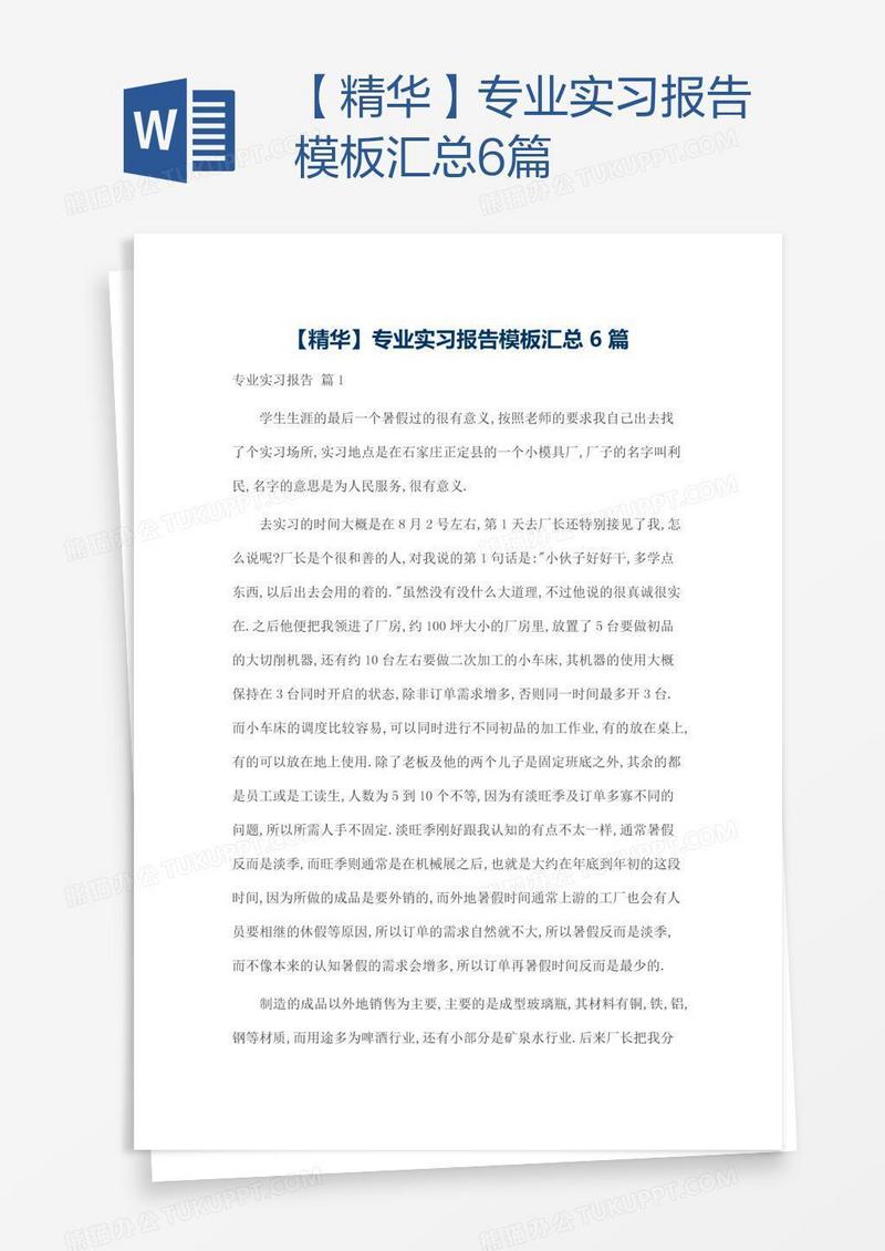 【精华】专业实习报告模板汇总6篇