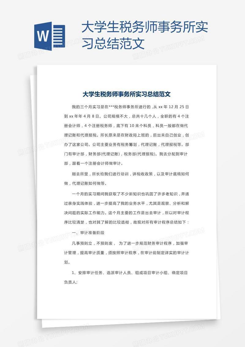 大学生税务师事务所实习总结范文