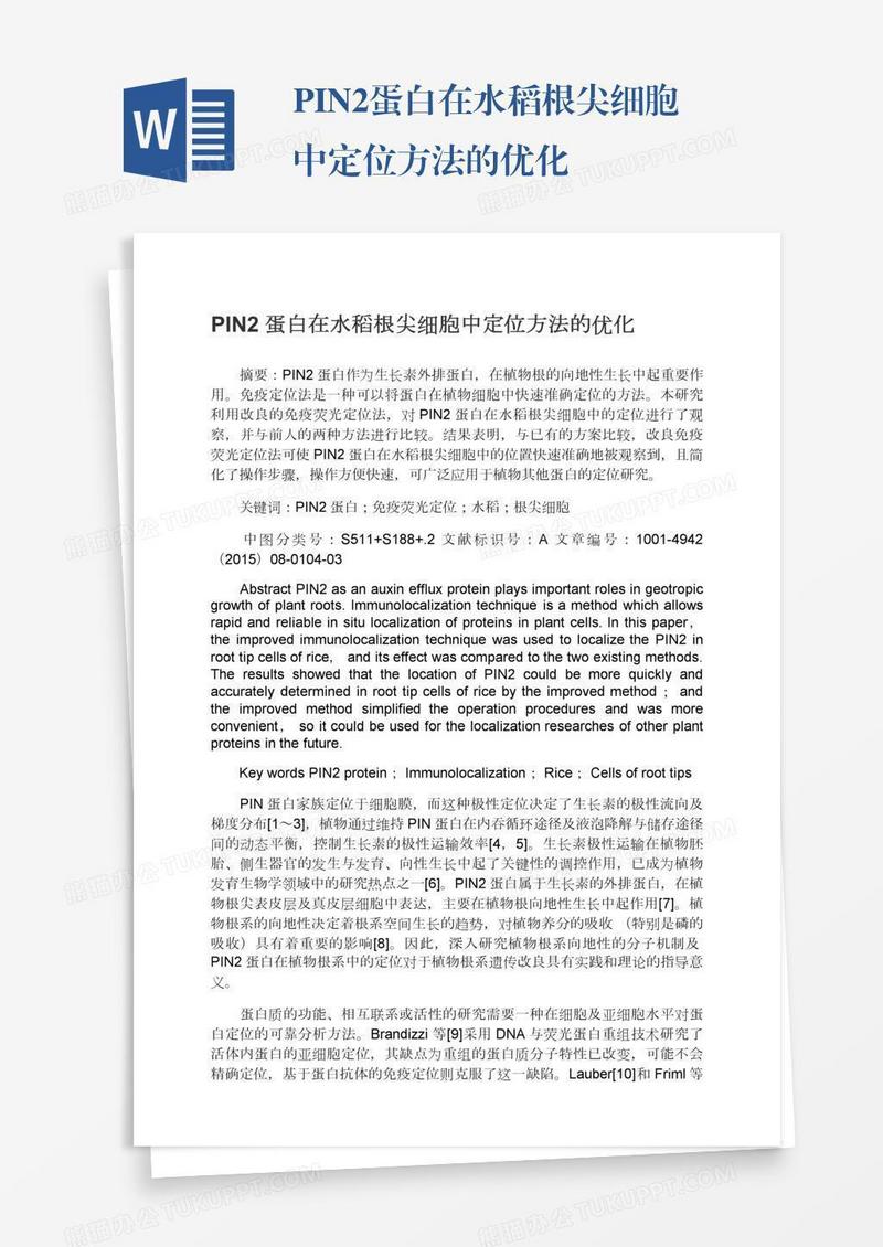 PIN2蛋白在水稻根尖细胞中定位方法的优化