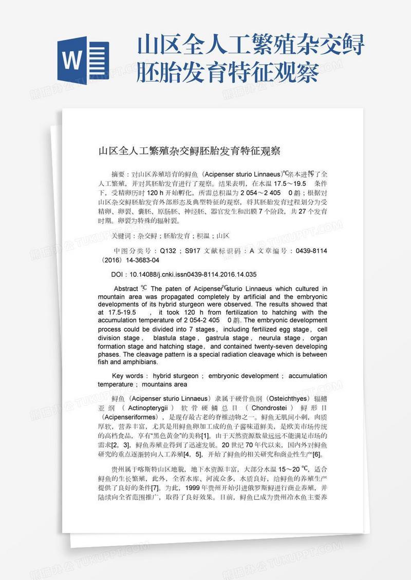 山区全人工繁殖杂交鲟胚胎发育特征观察