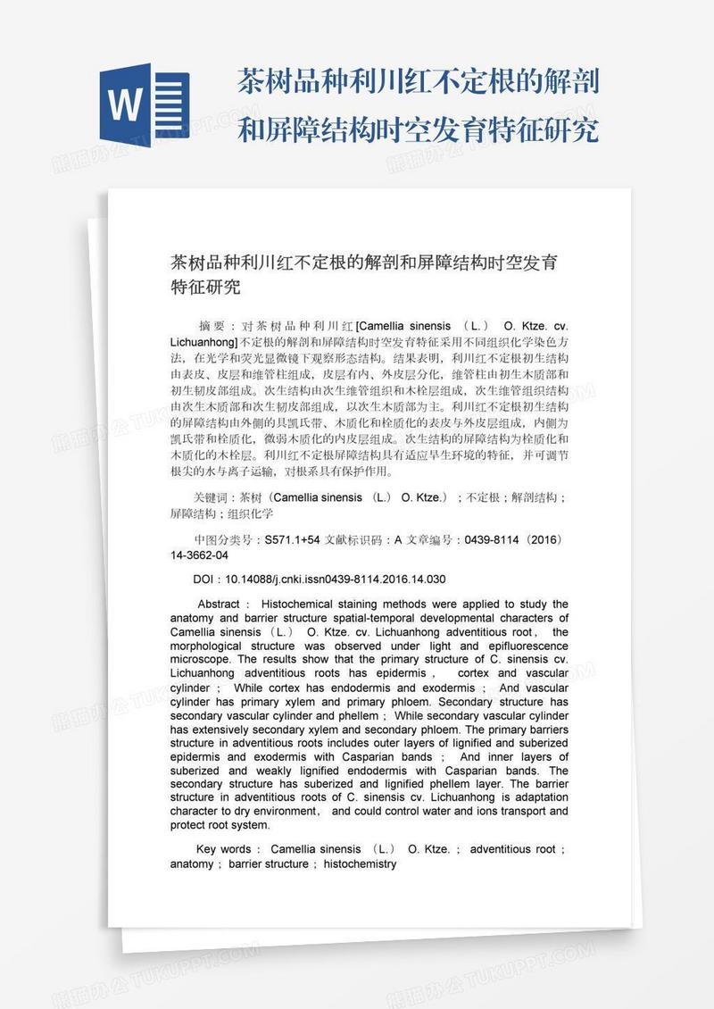 茶树品种利川红不定根的解剖和屏障结构时空发育特征研究