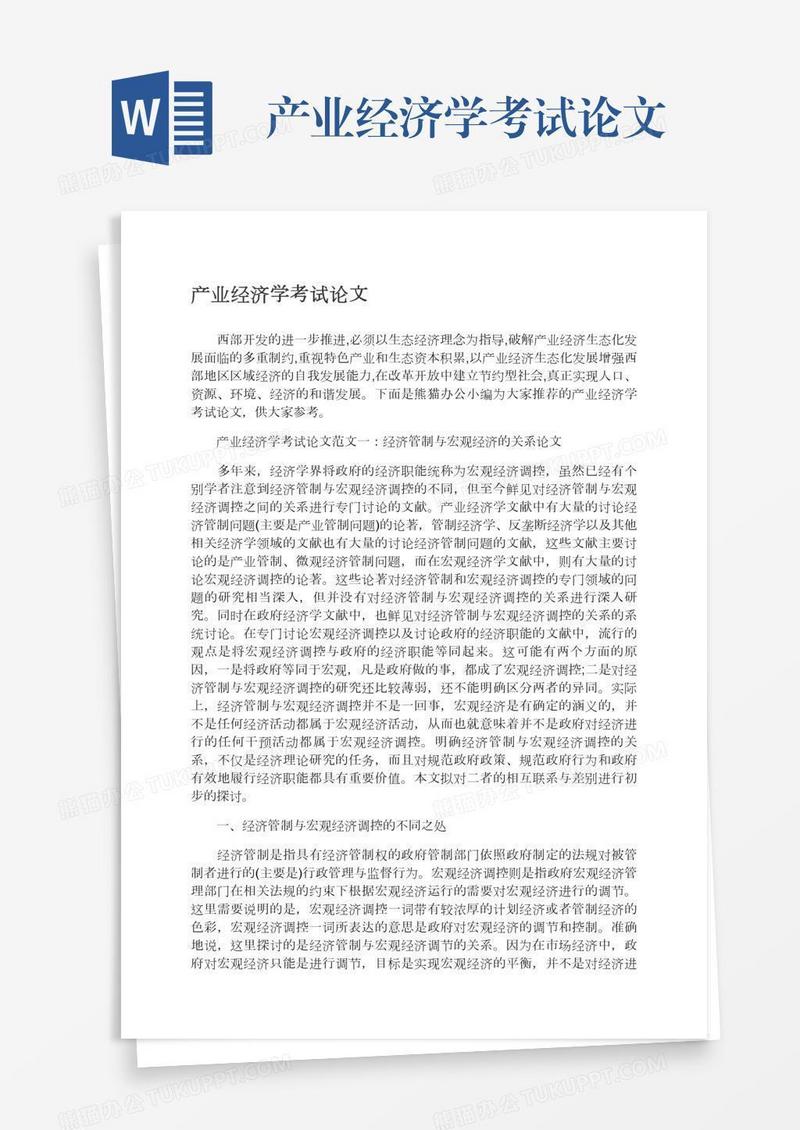 产业经济学考试论文