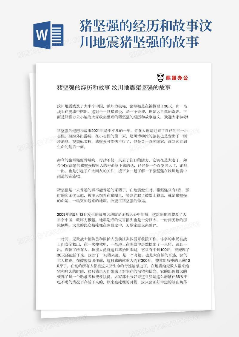 猪坚强的经历和故事汶川地震猪坚强的故事