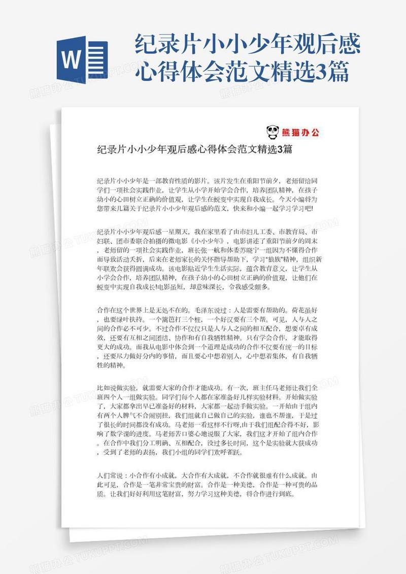 纪录片小小少年观后感心得体会范文精选3篇