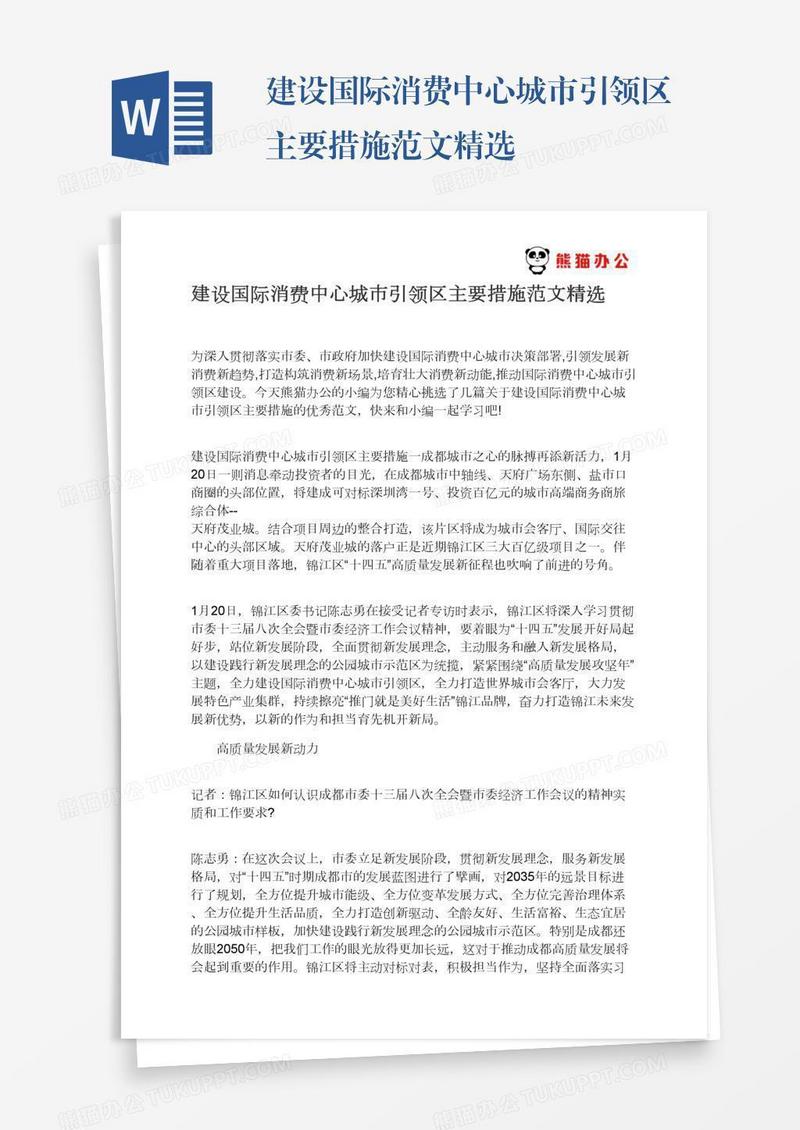 建设国际消费中心城市引领区主要措施范文精选