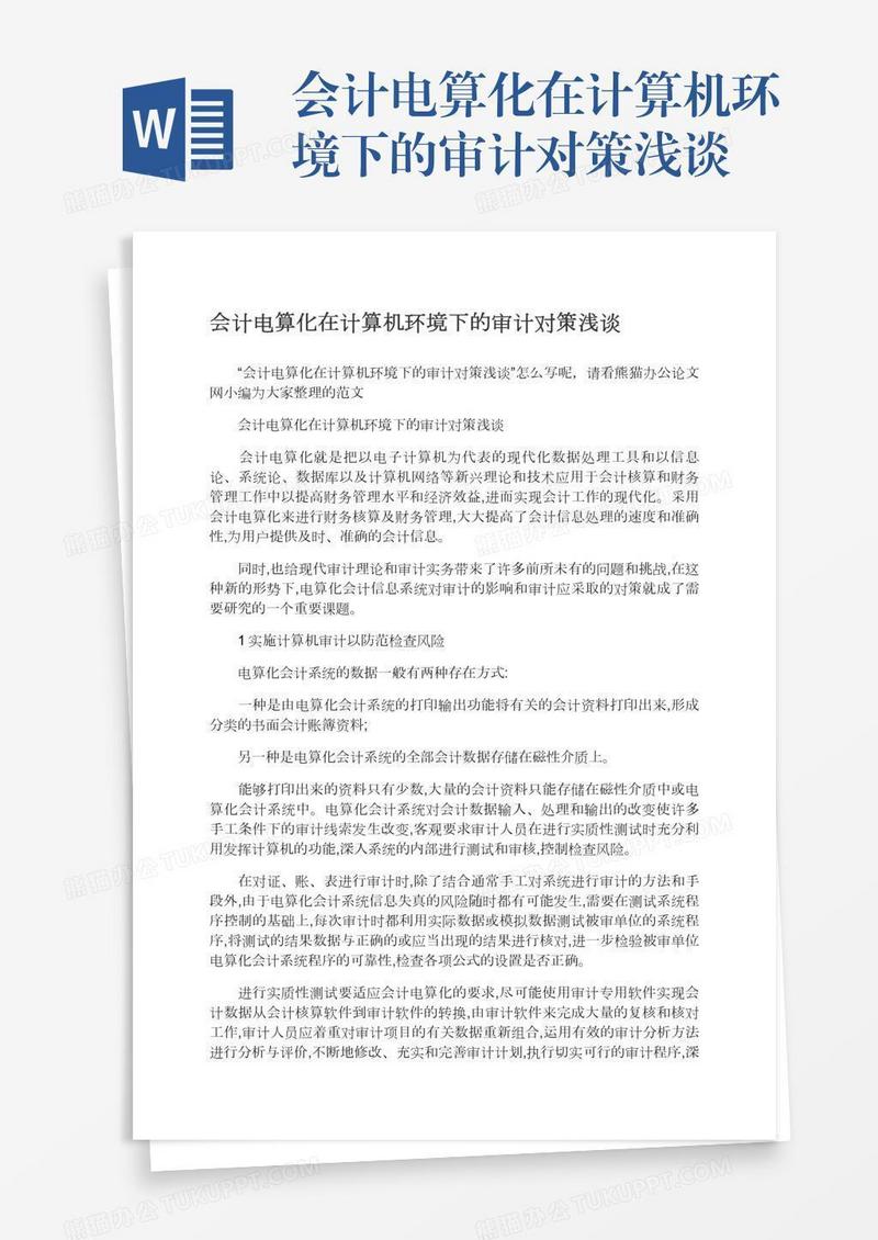 会计电算化在计算机环境下的审计对策浅谈
