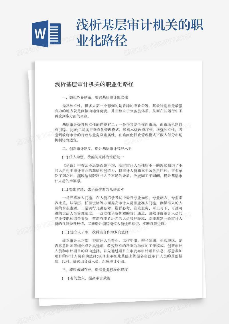 浅析基层审计机关的职业化路径