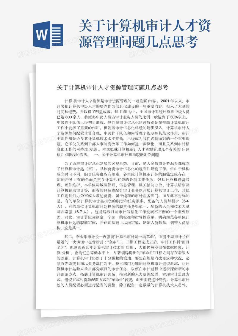 关于计算机审计人才资源管理问题几点思考