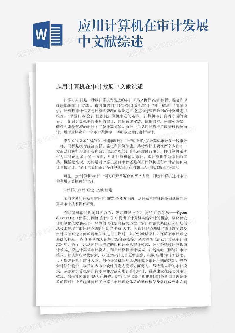 应用计算机在审计发展中文献综述