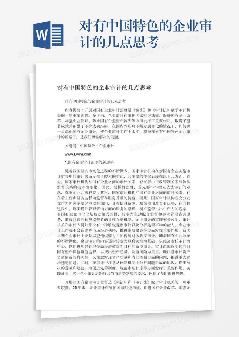 对有中国特色的企业审计的几点思考