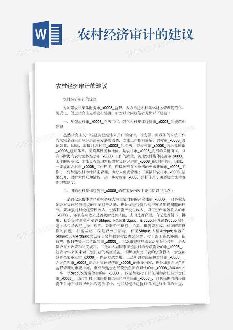 农村经济审计的建议