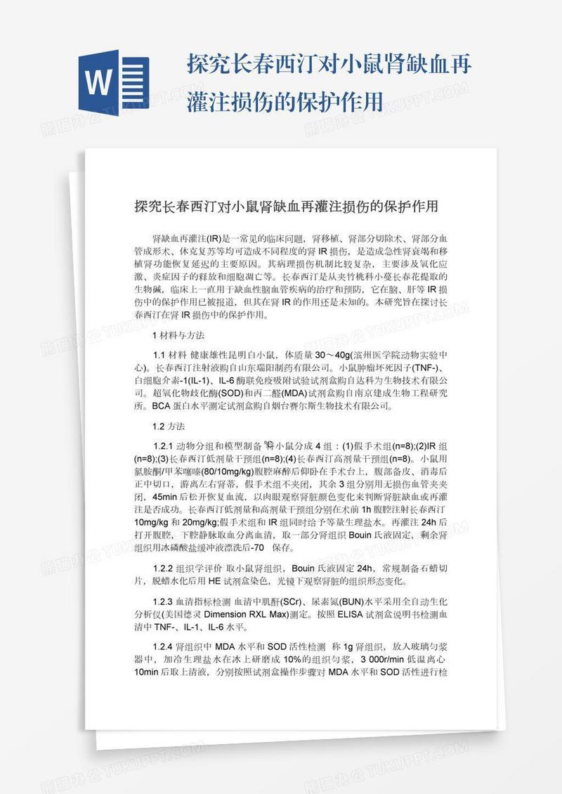 探究长春西汀对小鼠肾缺血再灌注损伤的保护作用