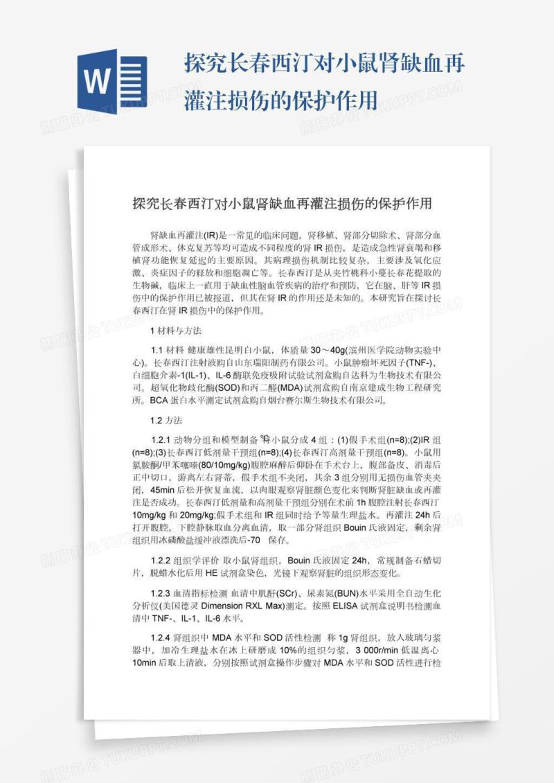 探究长春西汀对小鼠肾缺血再灌注损伤的保护作用