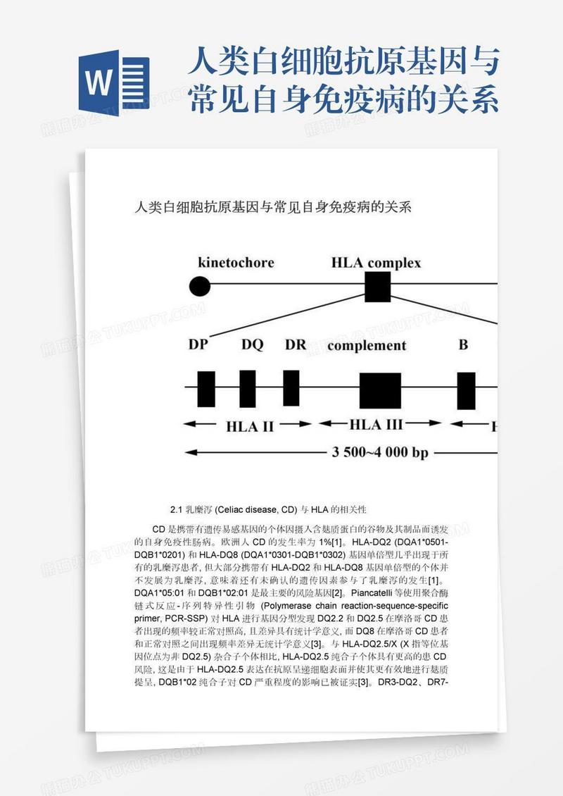 人类白细胞抗原基因与常见自身免疫病的关系