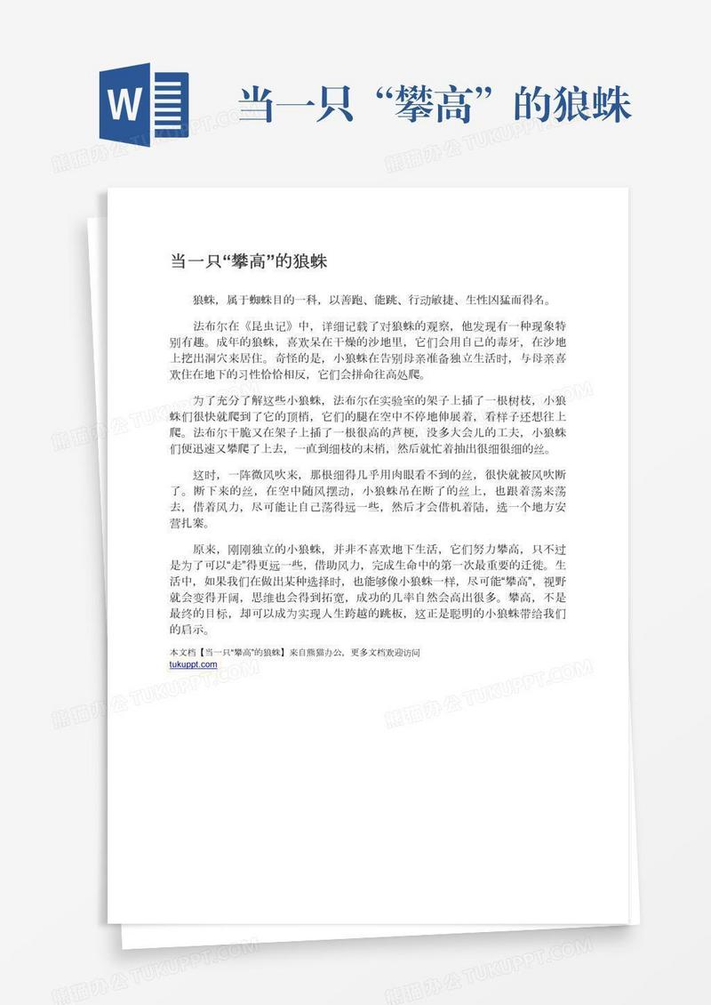 当一只“攀高”的狼蛛