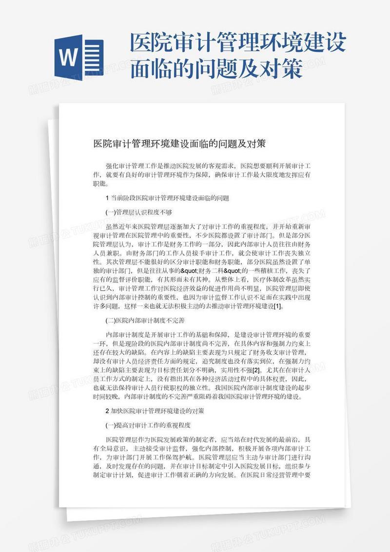 医院审计管理环境建设面临的问题及对策