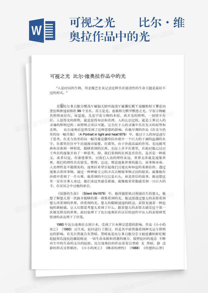 可视之光――比尔·维奥拉作品中的光