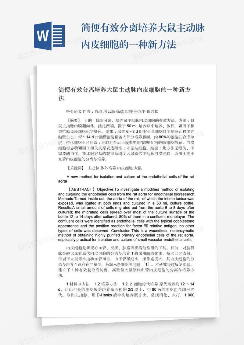 简便有效分离培养大鼠主动脉内皮细胞的一种新方法