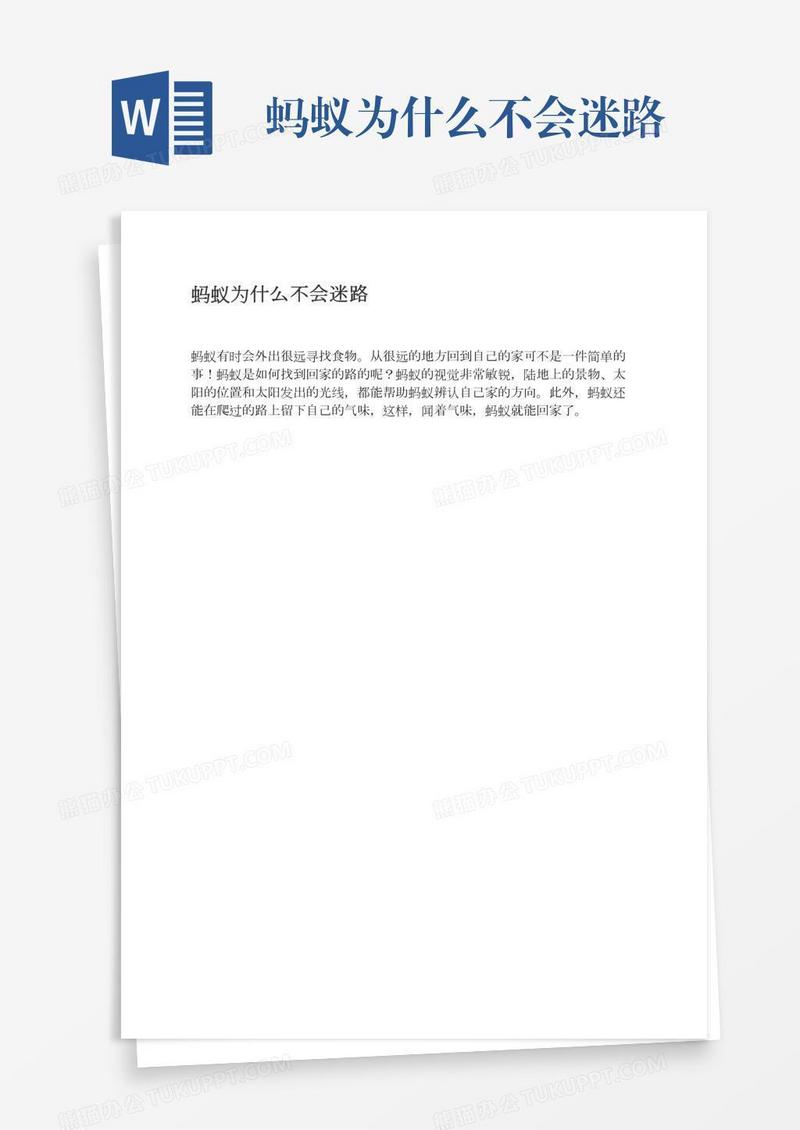 蚂蚁为什么不会迷路