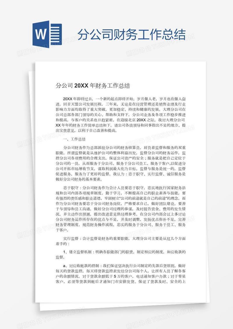分公司财务工作总结