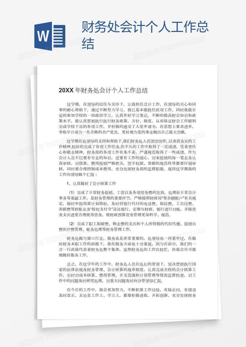 财务处会计个人工作总结