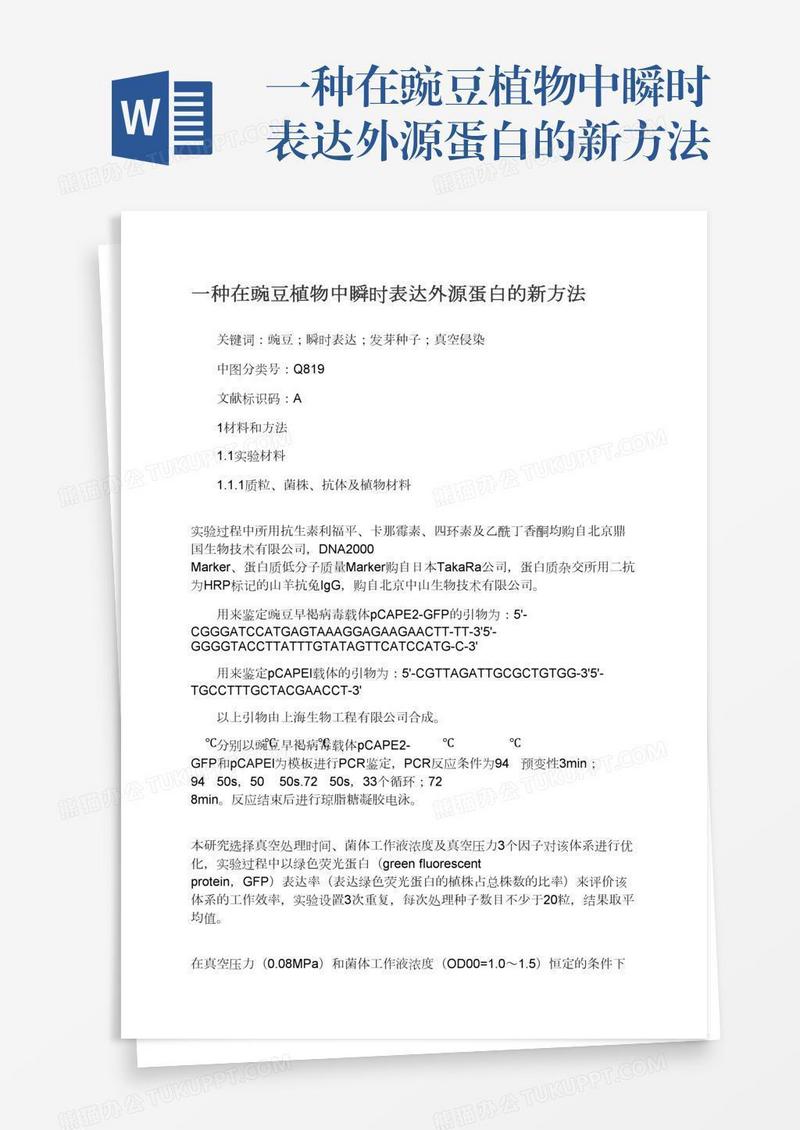 一种在豌豆植物中瞬时表达外源蛋白的新方法