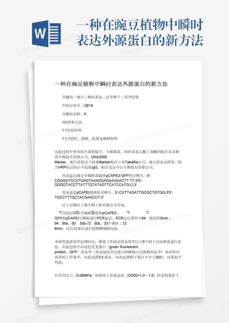 一种在豌豆植物中瞬时表达外源蛋白的新方法