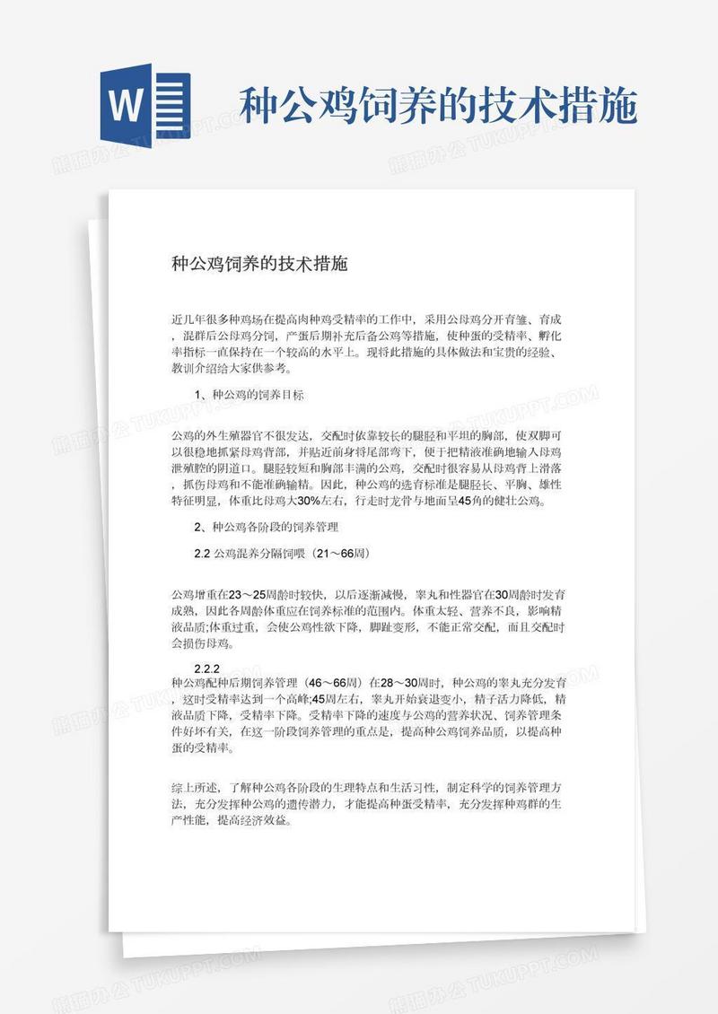 种公鸡饲养的技术措施