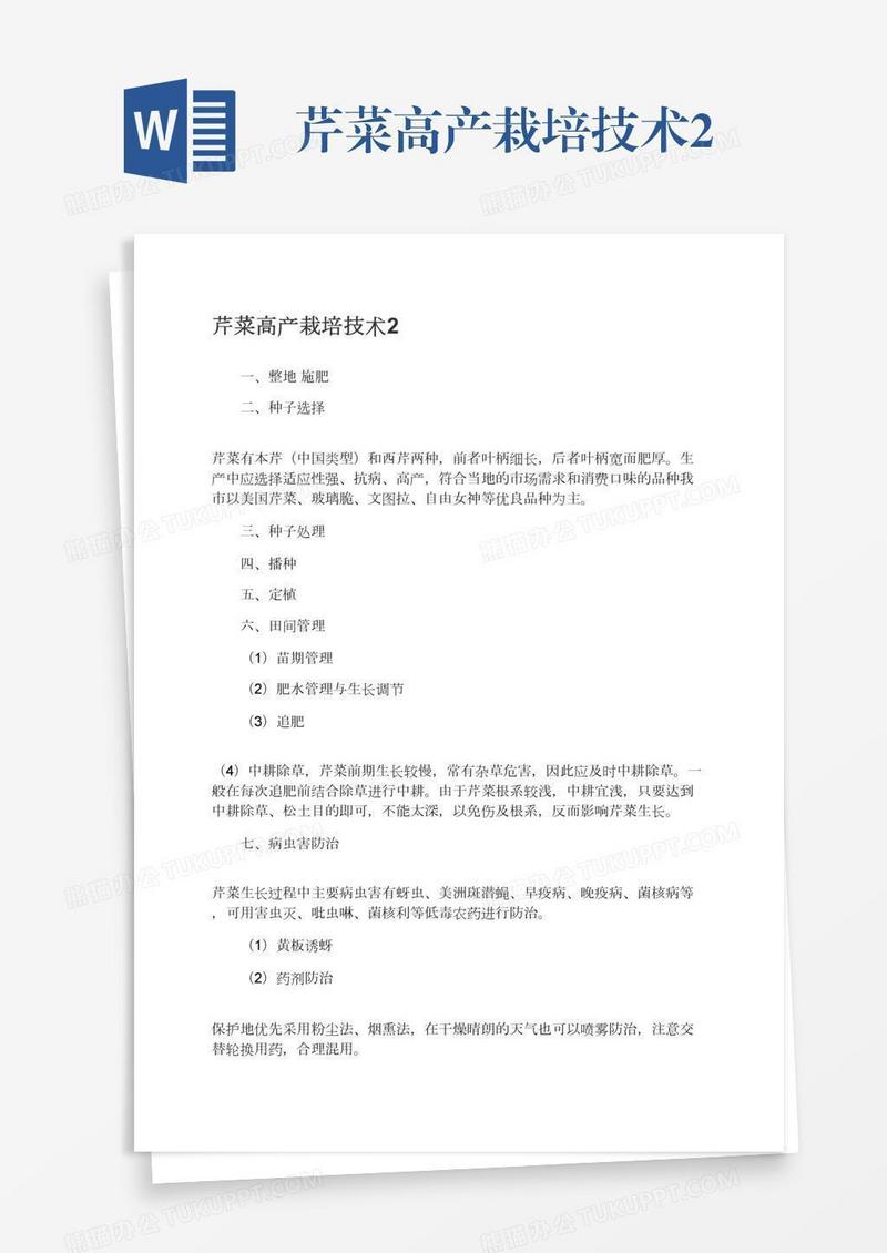 芹菜高产栽培技术2