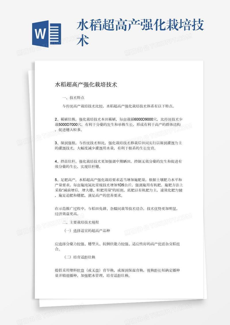 水稻超高产强化栽培技术