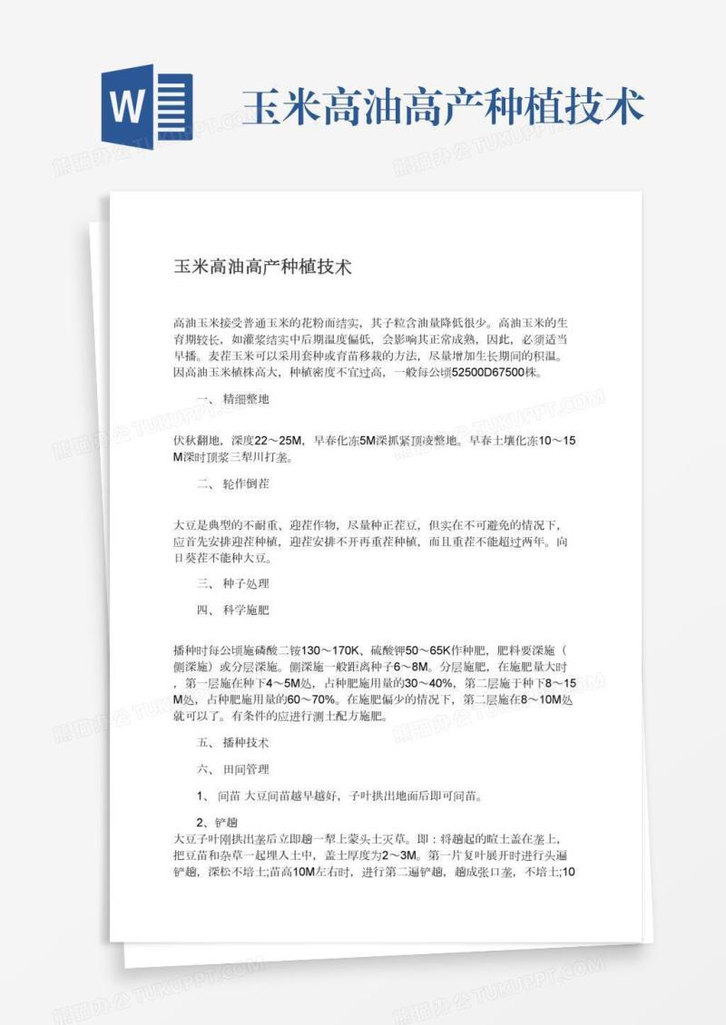 玉米高油高产种植技术