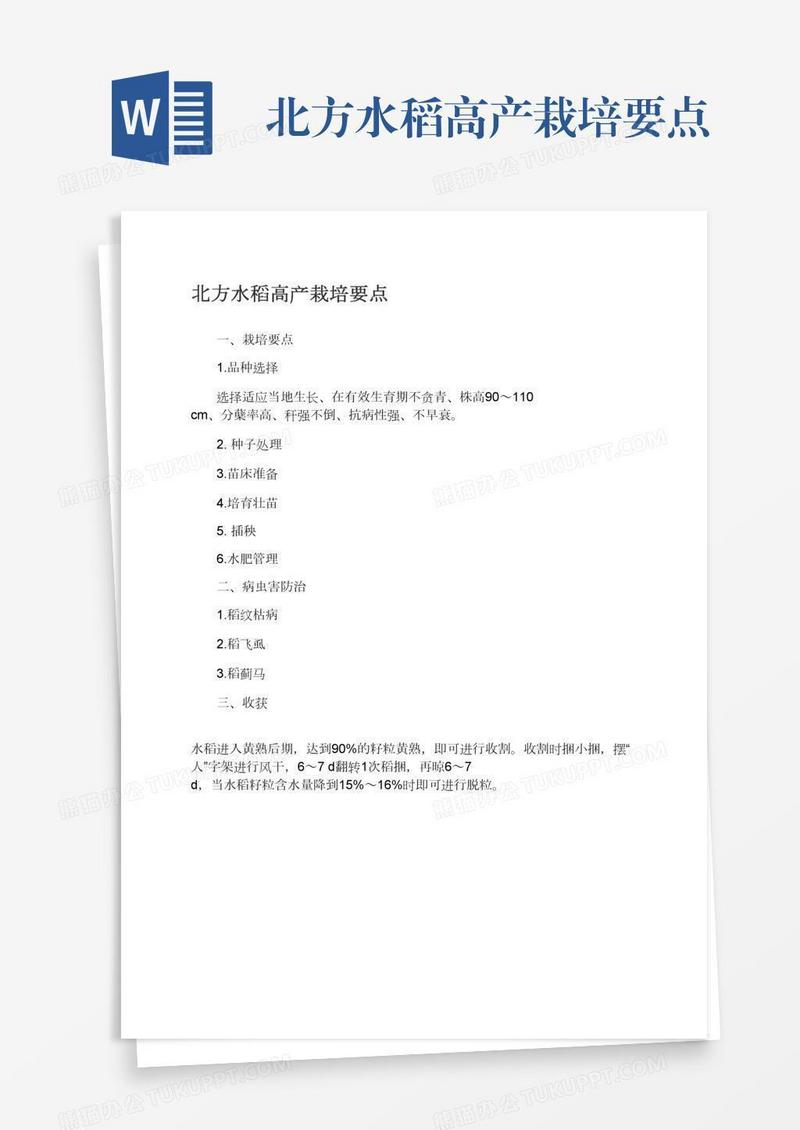 北方水稻高产栽培要点