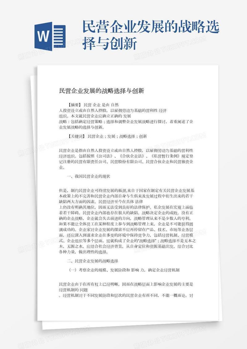 民营企业发展的战略选择与创新