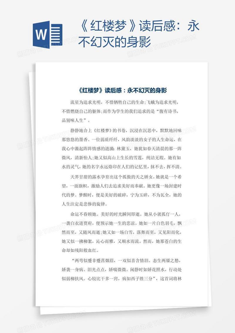 《红楼梦》读后感：永不幻灭的身影