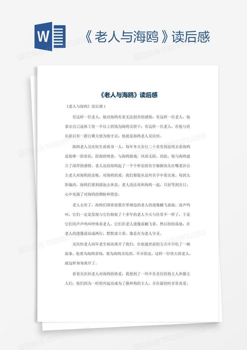 《老人与海鸥》读后感