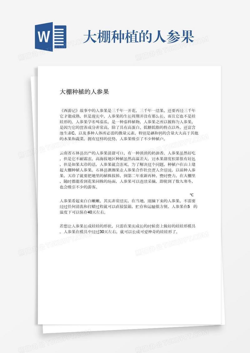 大棚种植的人参果